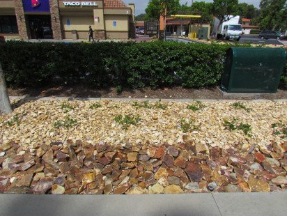 gallery-gc-Taco-Bell-MV-6