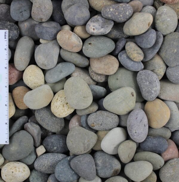 Mixed Beach Pebble 1/2"-1"