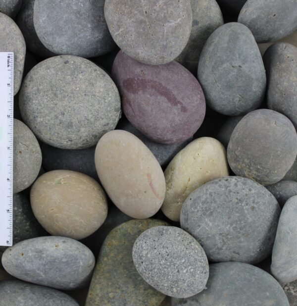 Mixed Beach pebble 2"-3"