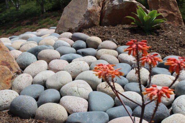 Mixed Beach Pebble Pineapples